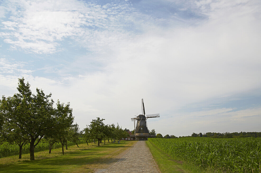 Hollicher Windmühle in Steinfurt - Hollich , Münsterland , Nordrhein-Westfalen , Deutschland , Europa