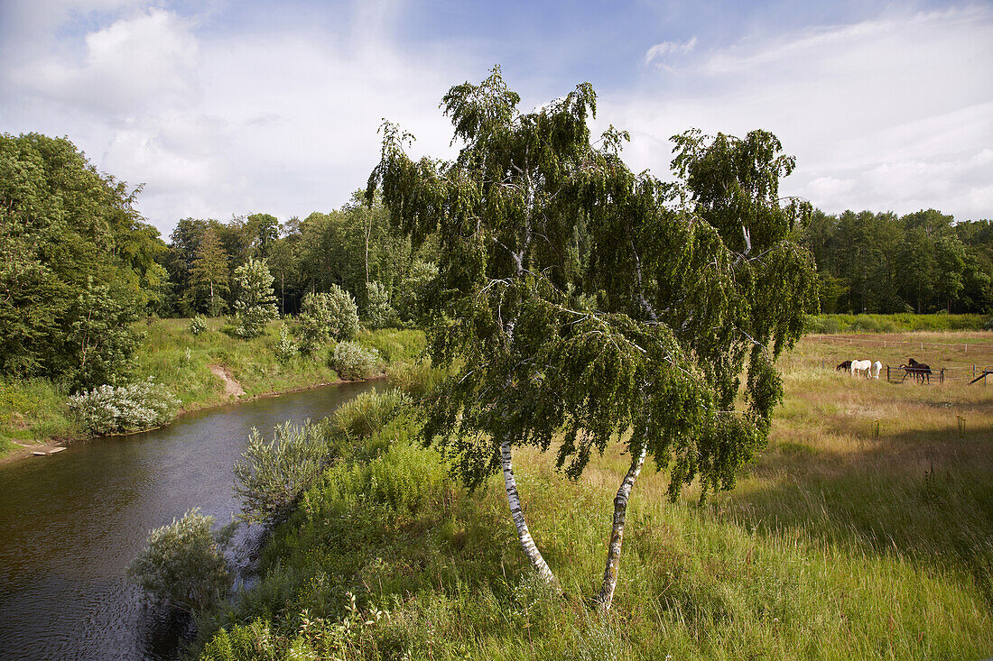 River Ems near Emsdetten - Sinningen , Muensterland , North Rhine-Westphalia , Germany , Europe