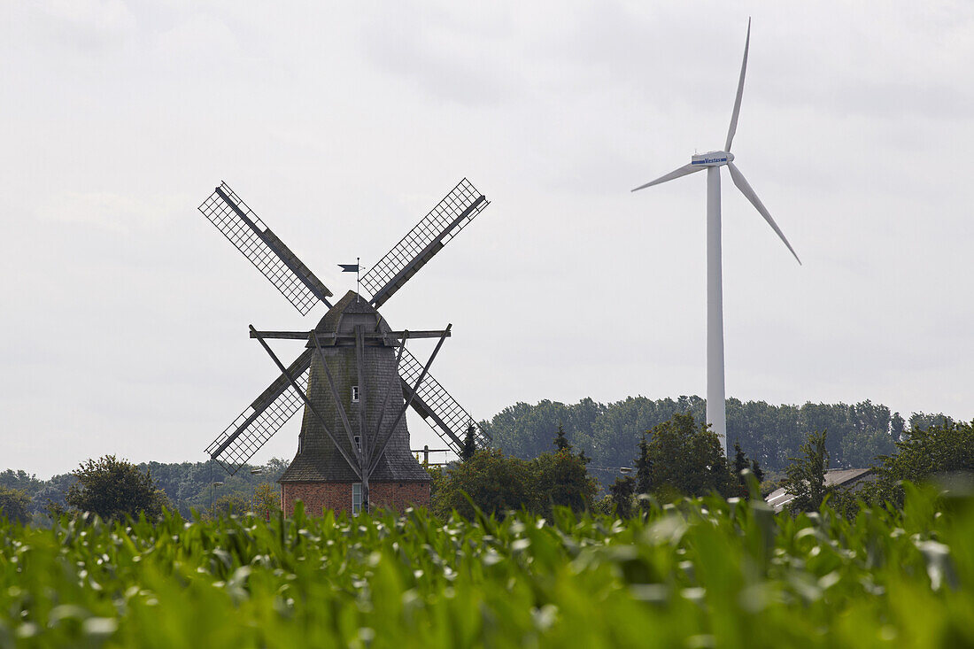 Windmill at Sinningen from 1866 , Wind power station , Muensterland , North Rhine-Westphalia , Germany , Europe