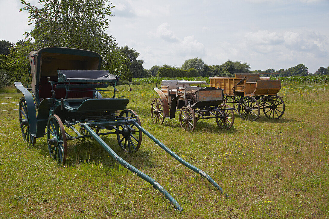 Carriages to be sold near Ahaus , Muensterland , North Rhine-Westphalia , Germany , Europe