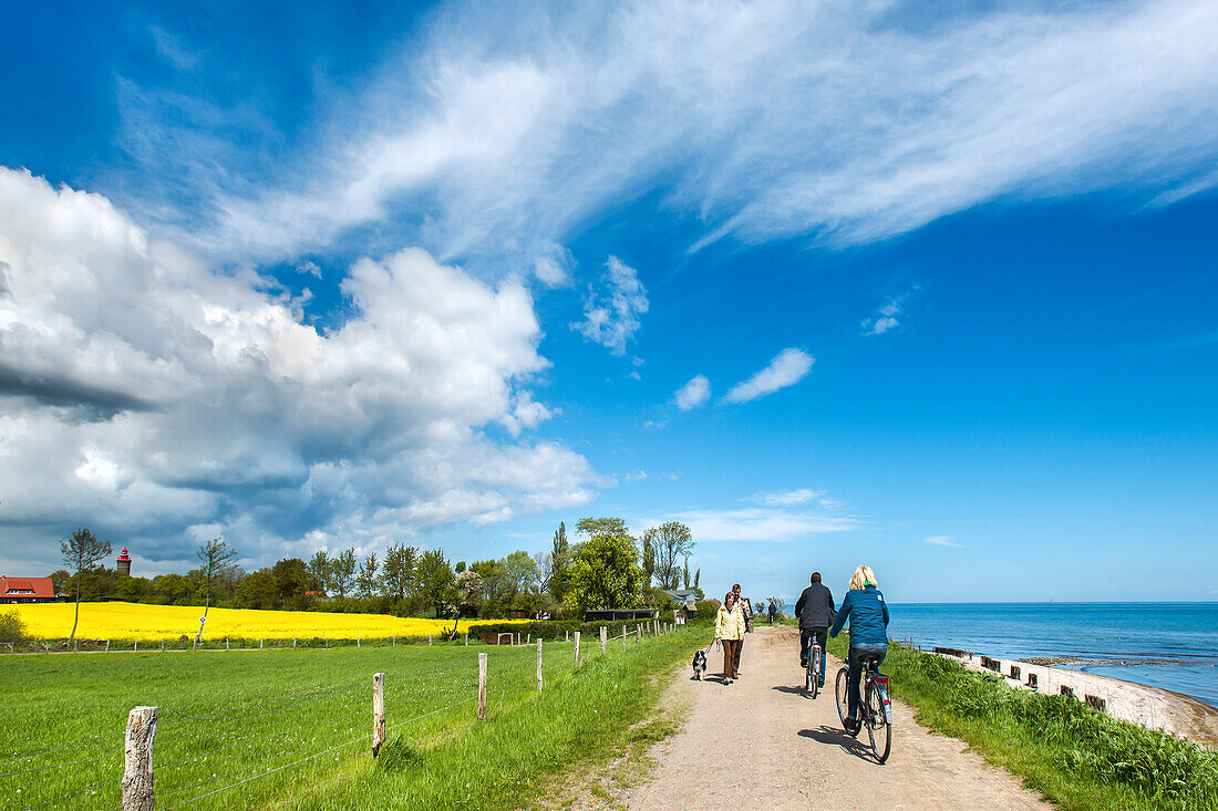 Cyclists cycling along a path near the sea, Dahme, Luebeck Bay, Baltic Coast, Schleswig-Holstein, Germany