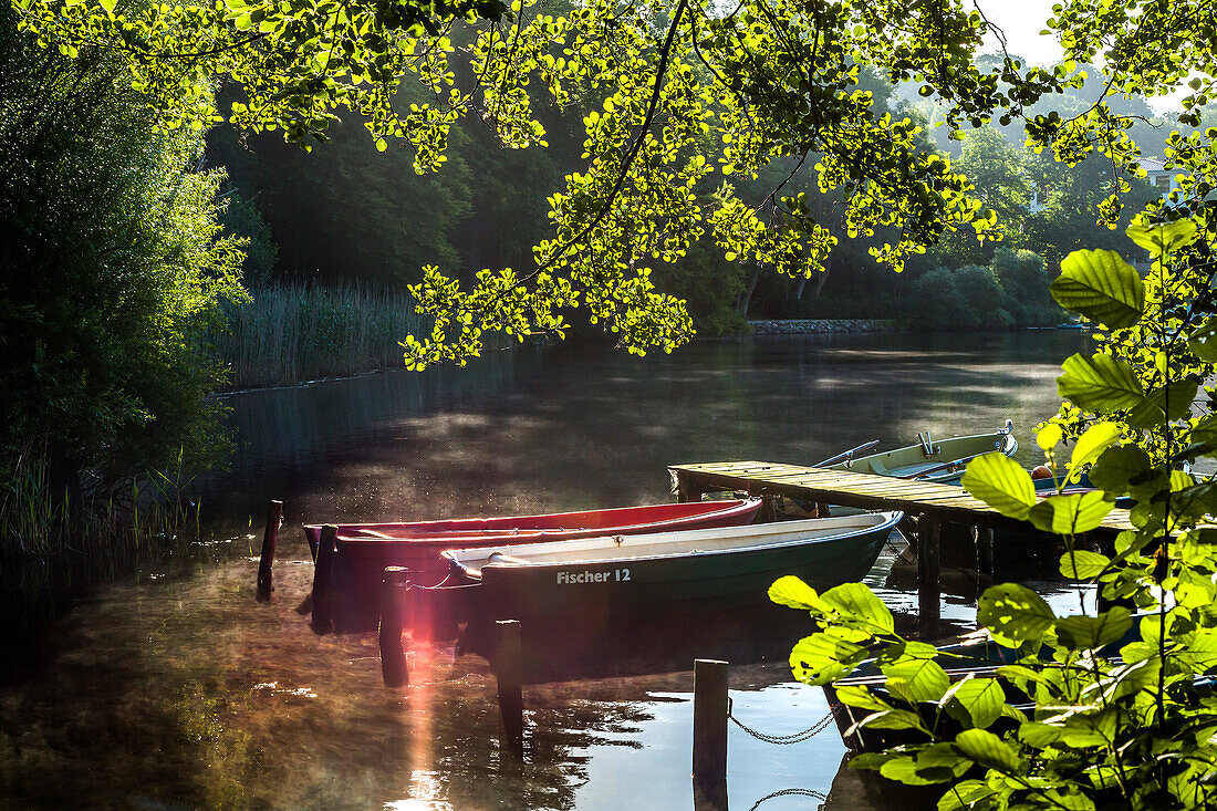 Boats in the morning on lake Diek, Malente, Schleswig-Holstein, Germany