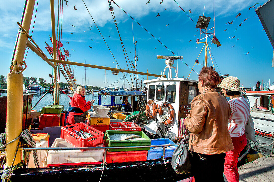 Woman selling fish from a boat, Travemuende, Hanseatic City, Luebeck, Baltic Coast, Schleswig-Holstein, Germany