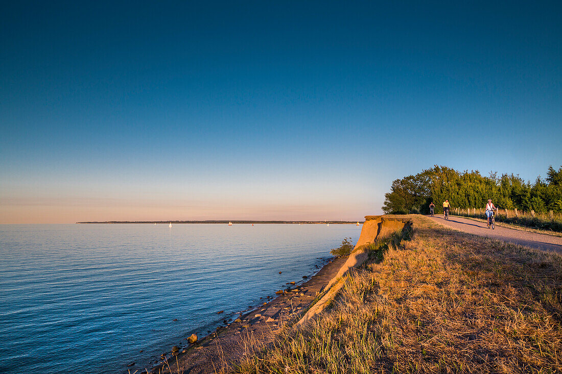 Cliff in the evening light, Brodtener Ufer, Niendorf, Baltic Coast, Schleswig-Holstein, Germany