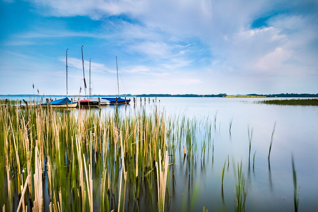 Lake Hemmelsdorf, Timmendorf, Baltic Coast, Schleswig-Holstein, Germany