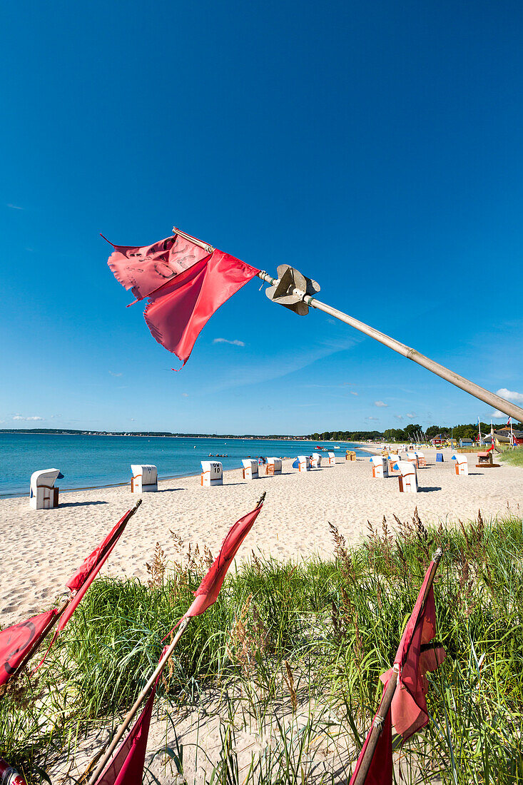 Flags on the beach, Sierksdorf, Baltic Coast, Schleswig-Holstein, Germany