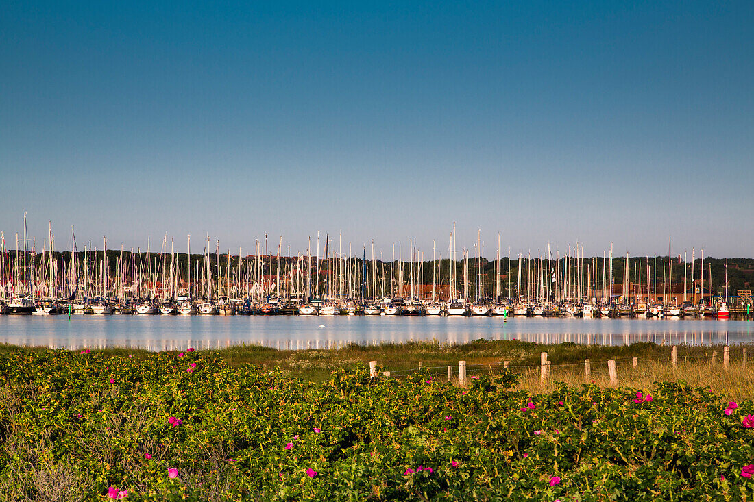 Blick von der Halbinsel Graswarder auf Heiligenhafen, Ostsee, Schleswig-Holstein, Deutschland