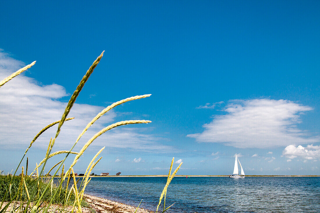 View towards Graswarder penninsula, Heiligenhafen, Baltic Coast, Schleswig-Holstein, Germany