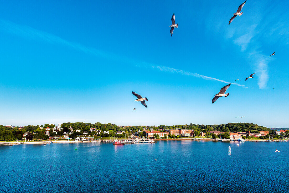 Blick vom Schiff auf den Landtag, Kiel, Kieler Förde, Ostsee, Schleswig-Holstein, Deutschland