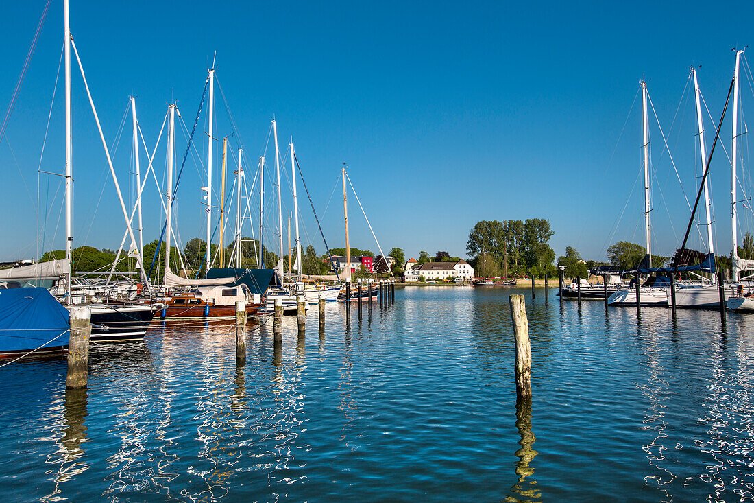 Marina, Arnis, Schlei Fjord, Baltic Coast, Baltic Coast, Schleswig-Holstein, Germany