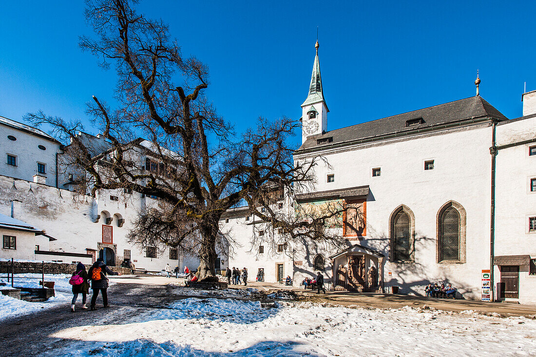 Hohensalzburg Castle in Salzburg, Salzburg, Austria, Europe