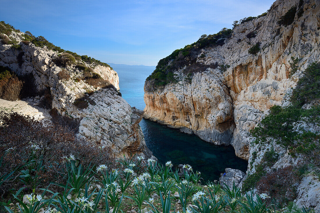 Portu Cuau, Porto Cuau, Selvaggio Blu, Sardinia, Italy, Europe