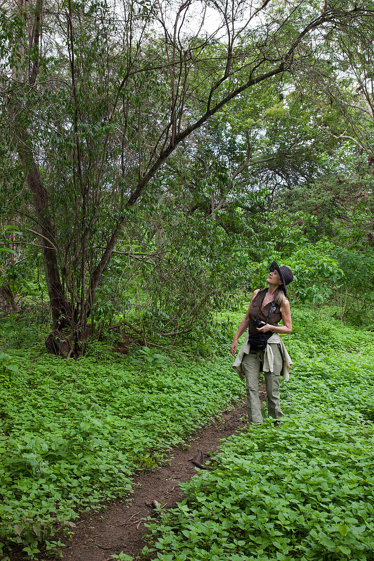 Woman hikes along Sendero Sombra de los Algarrobos trail in Machalilla National Park, near Manta, Manabi, Ecuador