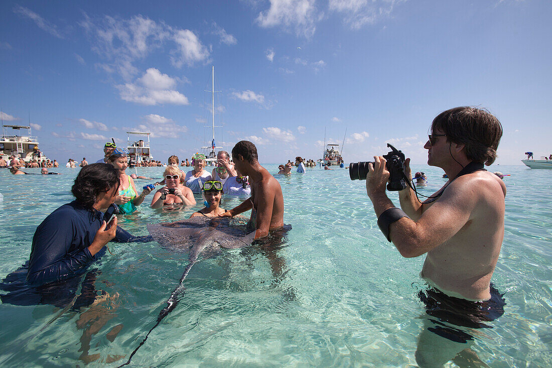 Menschen berühren einen großen Rochen während eines Bootsausflugs zur Stingray City Sandbank, Grand Cayman, Kaimaninseln (Cayman-Inseln), Karibik