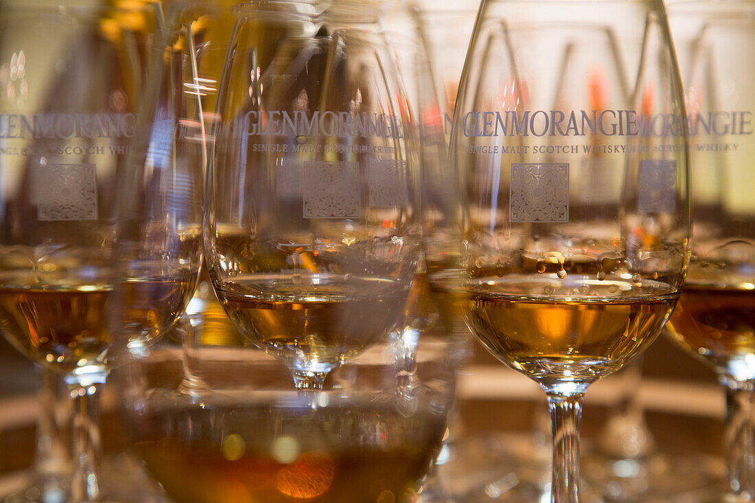Gläser mit Whisky während einer Verkostung in der Destille The Glenmorangie Whisky Distillery, Tain, Ross-shire, Schottland, Großbritannien, Europa