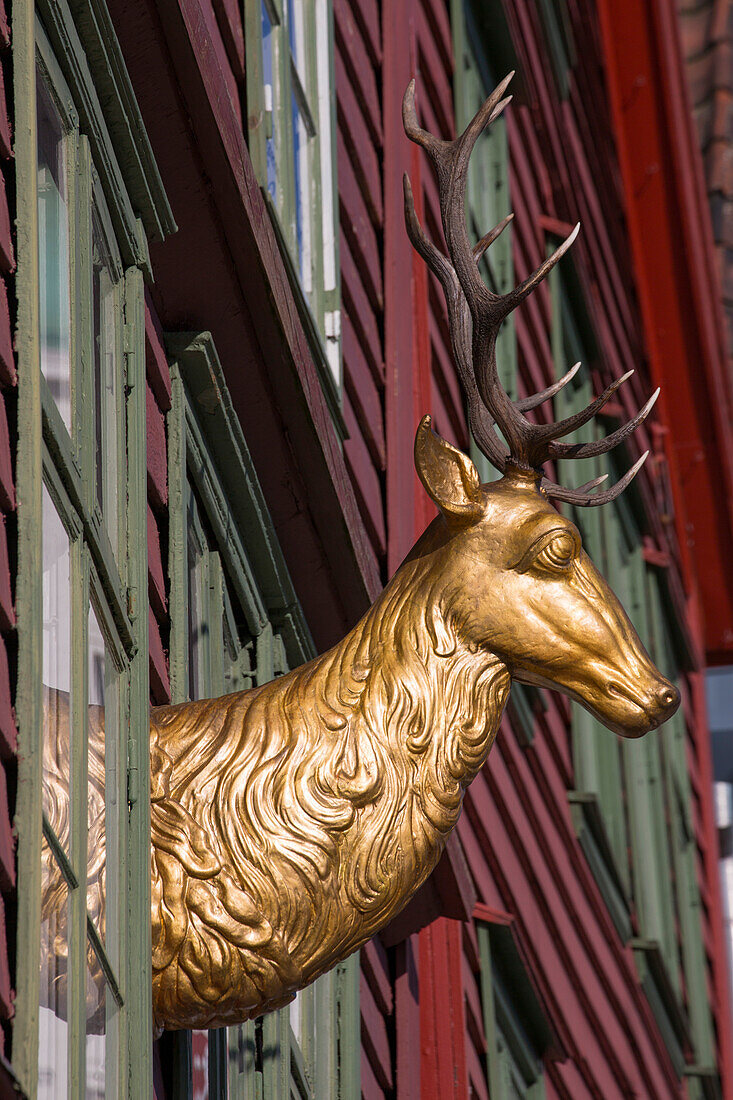 Goldener Hirsch Skulptur an einem Holzhaus im Handelsviertel Bryggen, Bergen, Hordaland, Norwegen, Europa