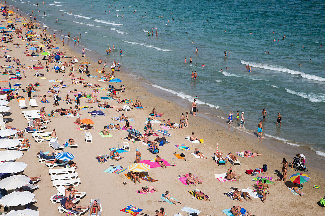 Menschen genießen einen sonnigen Nachmittag am Strand Playa del Postiguet, Alicante, Andalusien, Spanien, Europa