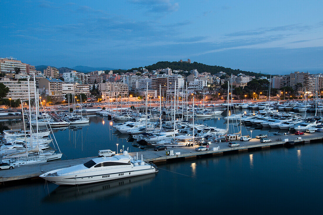 Yachten und Segelboote in der Marina in der Morgendämmerung, Palma, Mallorca, Balearen, Spanien, Europa