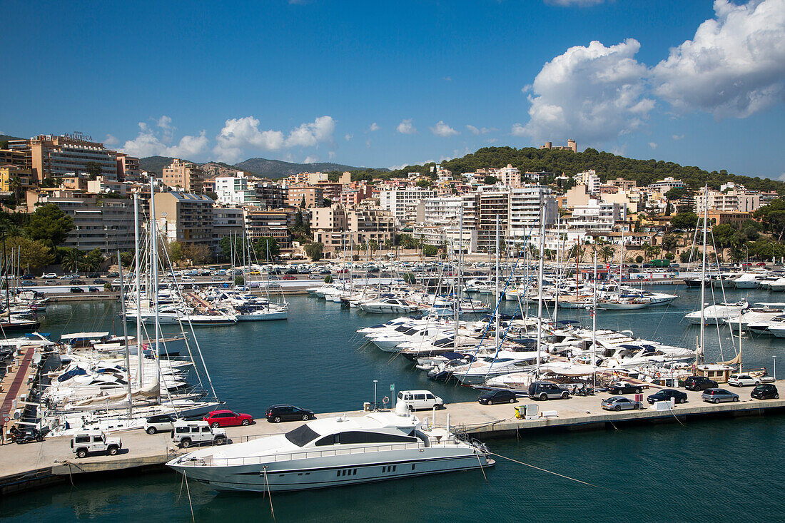 Yachten und Segelboote in der Marina mit Castell de Bellver auf Hügel, Palma, Mallorca, Balearen, Spanien, Europa