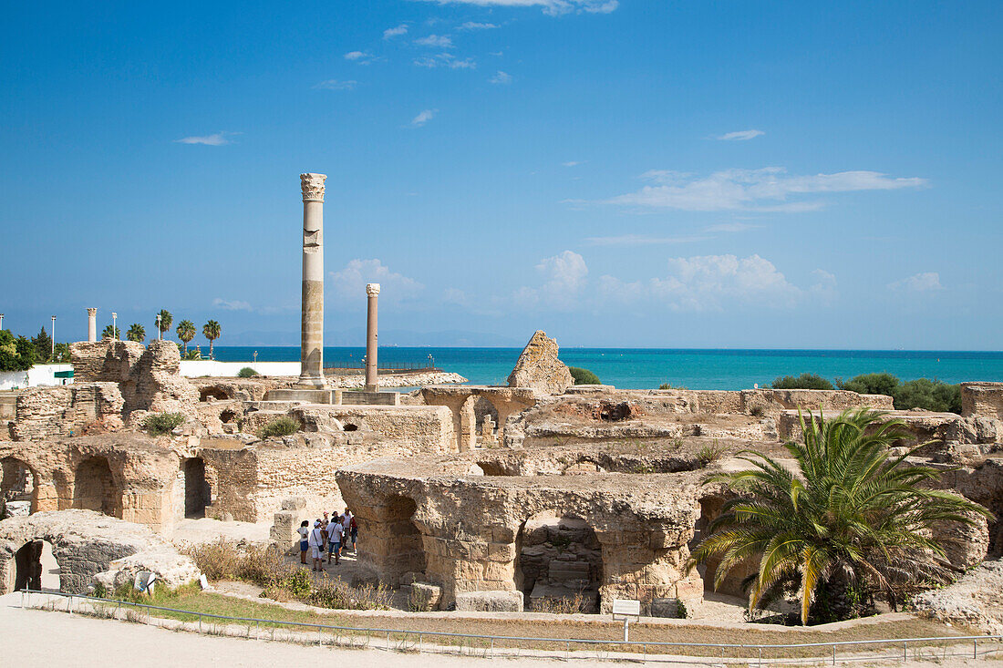 Ruinen der Antoninus-Pius-Thermen, Karthago, Tunis, Tunesien, Afrika