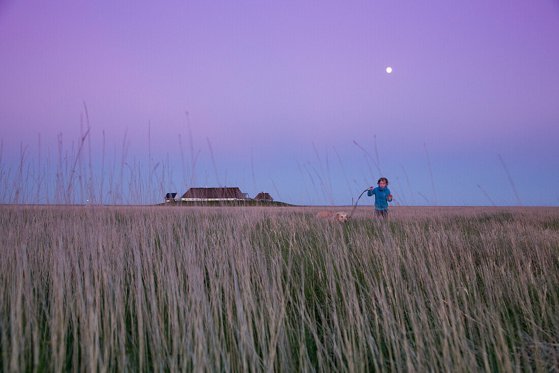 Young girl and Golden Retriever run through reed field near Hallig Krog restaurant along Wadden Sea at dusk, Hamburger Hallig, near Bredstedt, Nordfriesland, Schleswig-Holstein, Germany