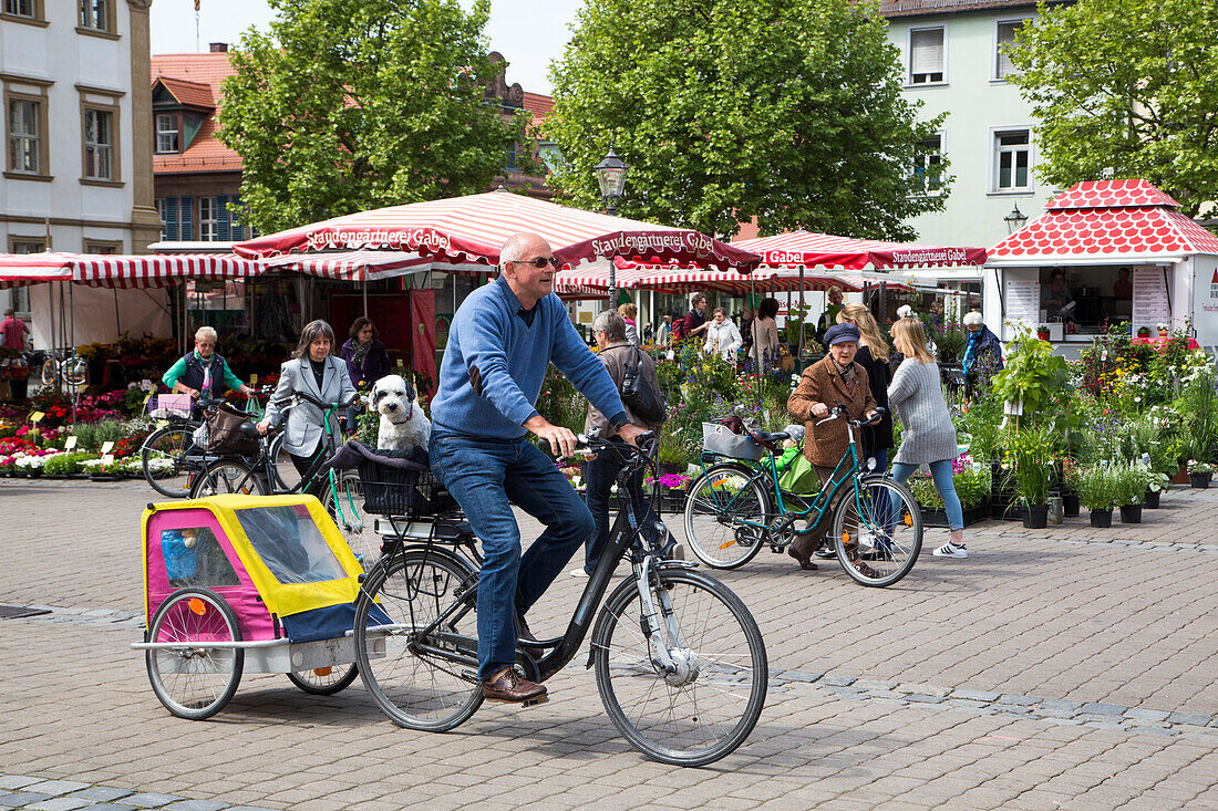 Man and Tibet Terrier dog (named Neumann) on bicycle on Marktplatz market square, Erlangen, Franconia, Bavaria, Germany