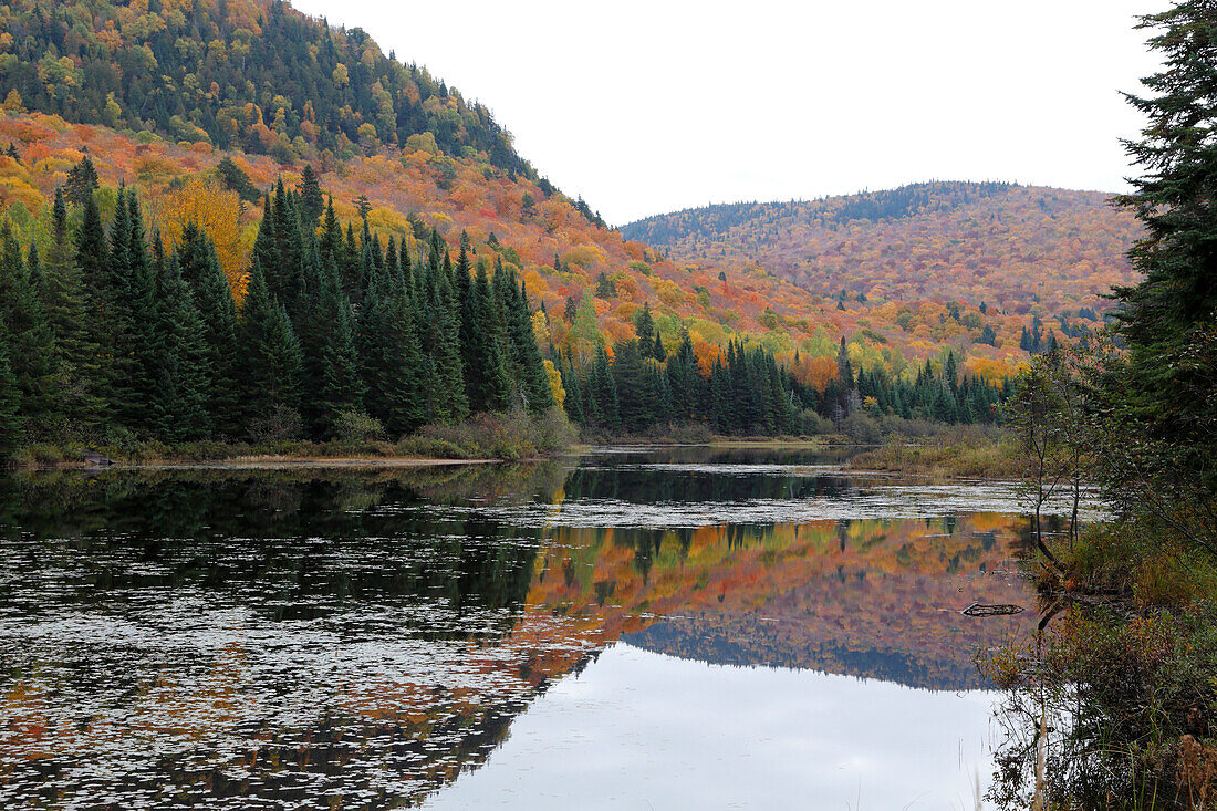 Herbstfarben am Monroe See im Mont Tremblant Nationalpark, Provinz Quebec, Kanada