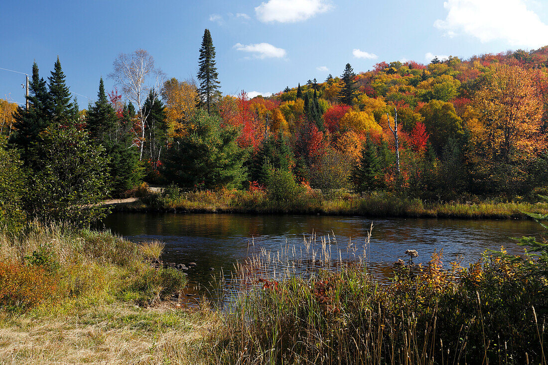 Autumn color at the Park Mont Tremblant, Province Quebec, Canada