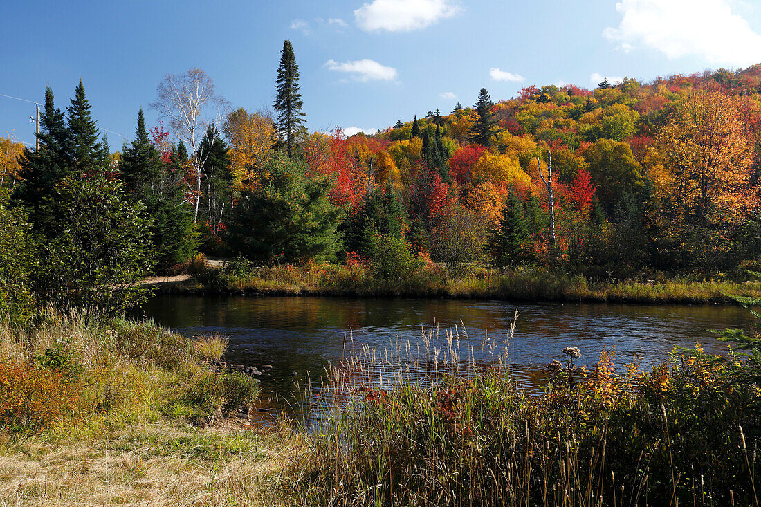 Herbstfarben im Mont Tremblant Nationalpark, Privinz Quebec, Kanada