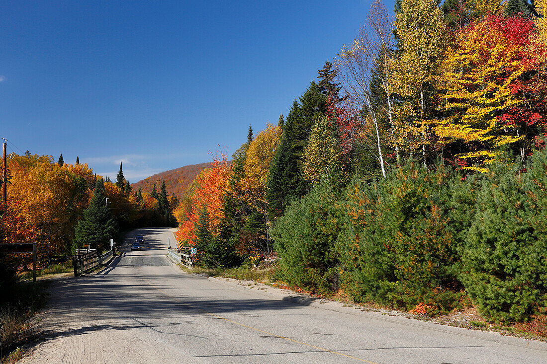 Park Strasse mit Herbstfarben im Mont Tremblant Nationalpark, Provinz Quebec, Kanada