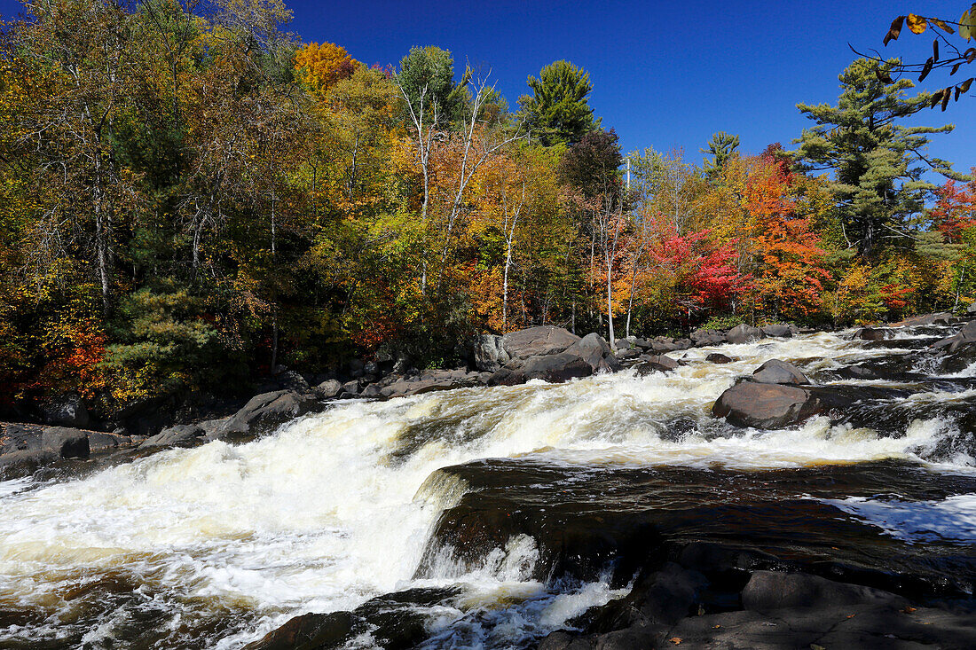 Herbstfarben am Riviere du Nord, Laurentians Region, Provinz Quebec, Kanada