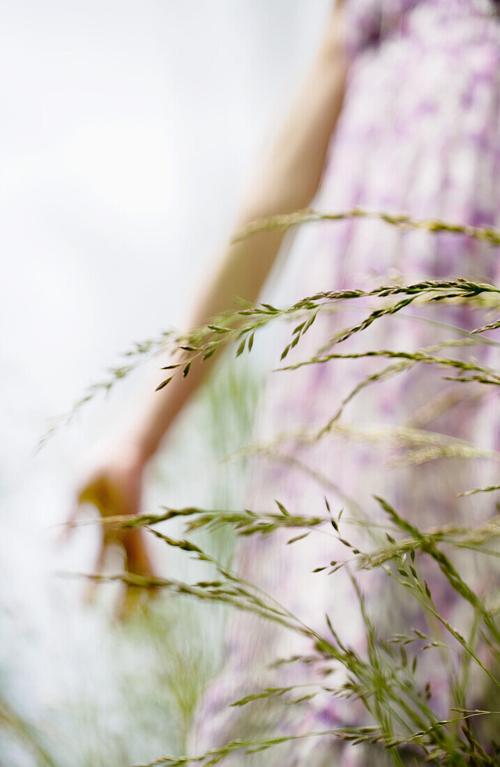 Woman in field of tall grass, low angle view, cropped