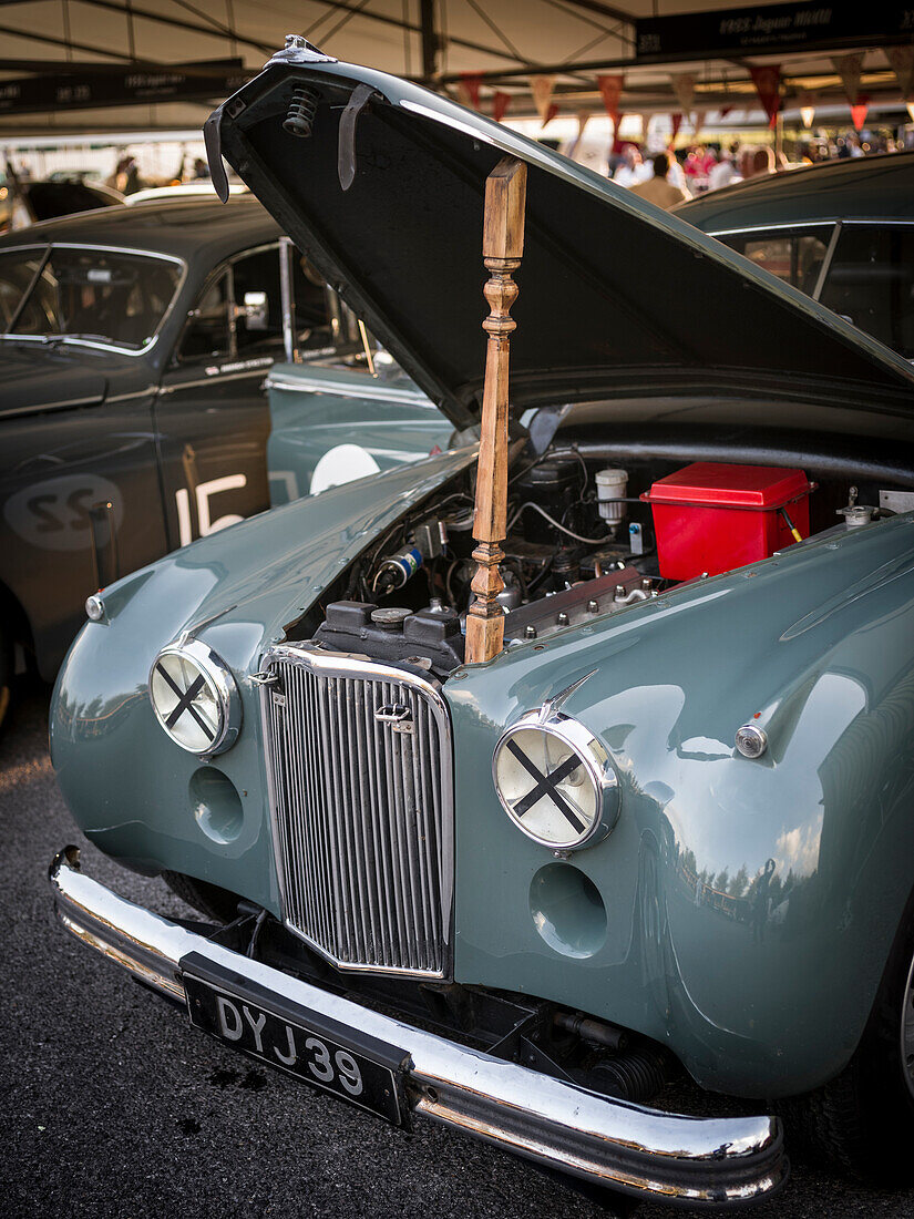 1954 Jaguar MkVII, Goodwood Revival 2014, Rennsport, Autorennen, Classic Car, Goodwood, Chichester, Sussex, England, Großbritannien