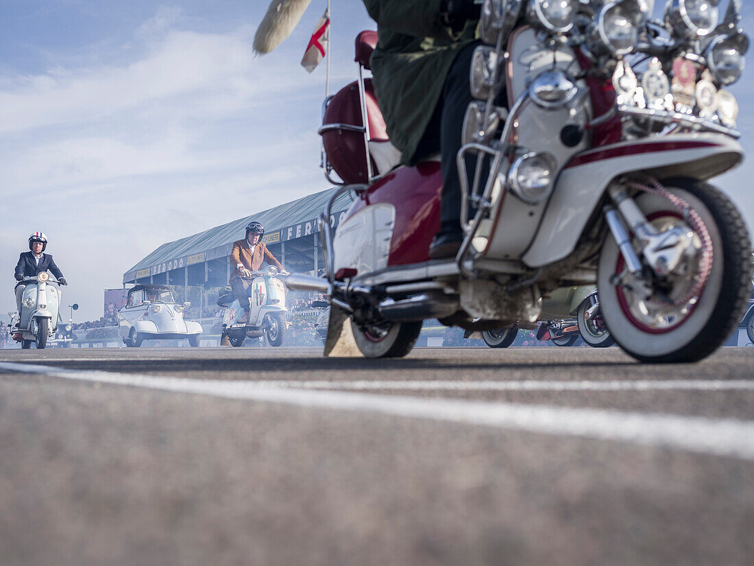 Mods at the finishing straight, Goodwood Revival 2014, Racing Sport, Classic Car, Goodwood, Chichester, Sussex, England, Great Britain