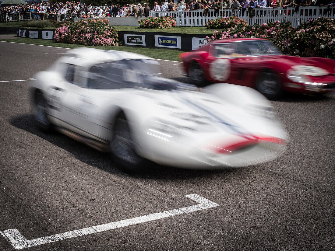 1962 Maserati Tipo 151, Goodwood Revival 2014, Racing Sport, Classic Car, Goodwood, Chichester, Sussex, England, Great Britain