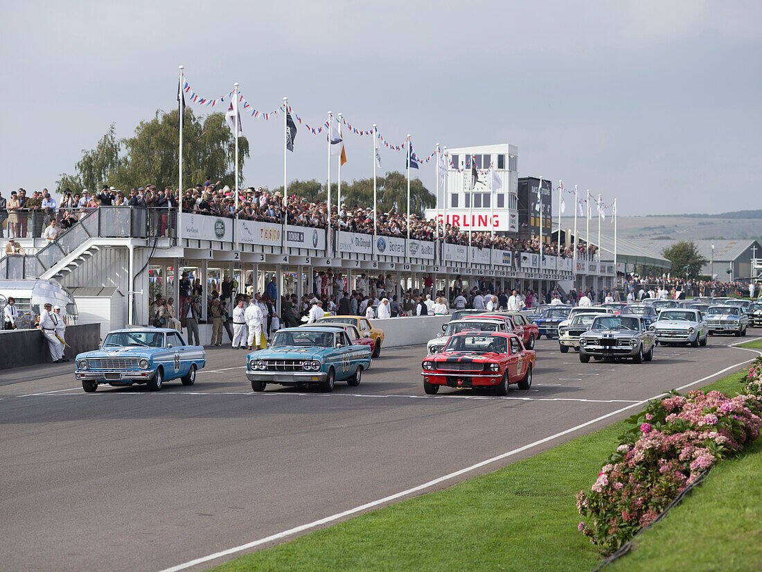 Start Shelby Cup, Goodwood Revival 2014, Racing Sport, Classic Car, Goodwood, Chichester, Sussex, England, Great Britain