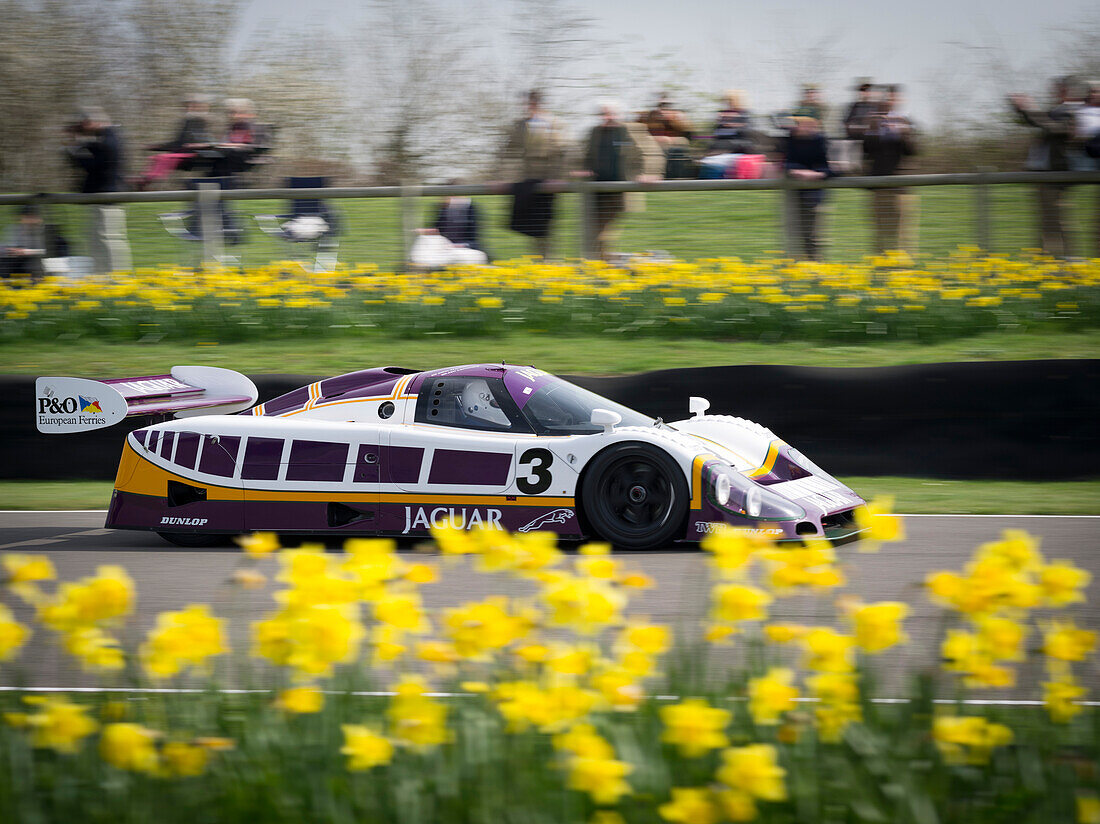 Jaguar XJR-9LM, 1988 La Mans Sieger, 72nd Members Meeting, Rennsport, Autorennen, Classic Car, Goodwood, Chichester, Sussex, England, Großbritannien