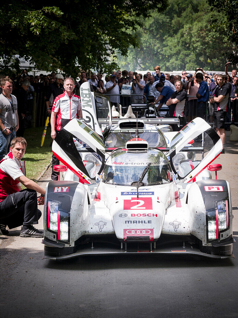 Andre Lotterer, Le Mans winner 2014, Audi R18 E-Tron Quattro Hybrid, Goodwood Festival of Speed 2014, racing, car racing, classic car, Chichester, Sussex, United Kingdom, Great Britain
