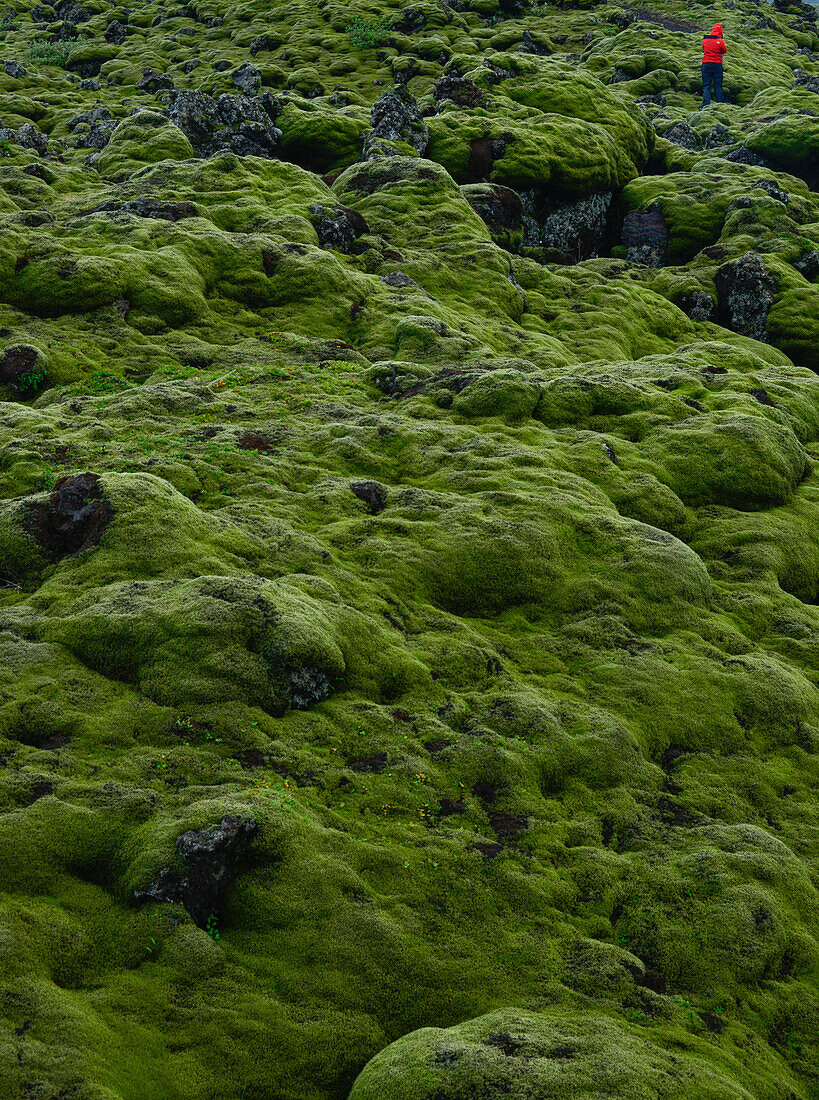 Junge Frau inmitten des bemoosten Lavafelds Eldhraun, an der Ringstraße (Hringvegur)  nahe Kirkjubaerklaustur, Südisland, Island, Europa