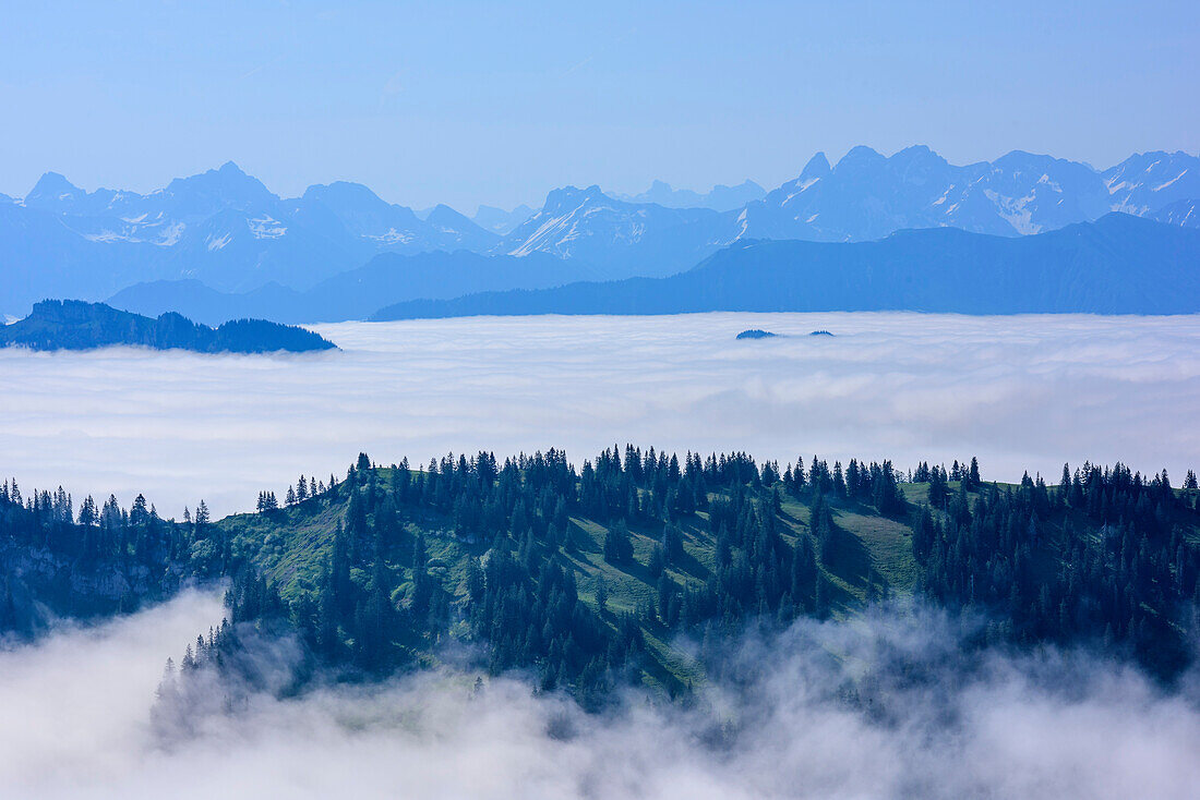 Valley fog over valley of Iller with Allgaeu Alps and Lechtal Al, Parseierspitze, Freispitze, Trettachspitze, Maedelegabel and Hochfrottspitze, from Hochgrat, Nagelfluh range, Allgaeu Alps, Allgaeu, Svabia, Bavaria, Germany