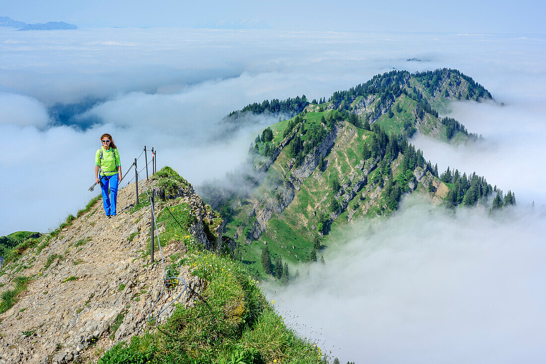 Frau beim Wandern steigt über Bergrücken auf, Hochgrat, Nagelfluhkette, Allgäuer Alpen, Allgäu, Schwaben, Bayern, Deutschland