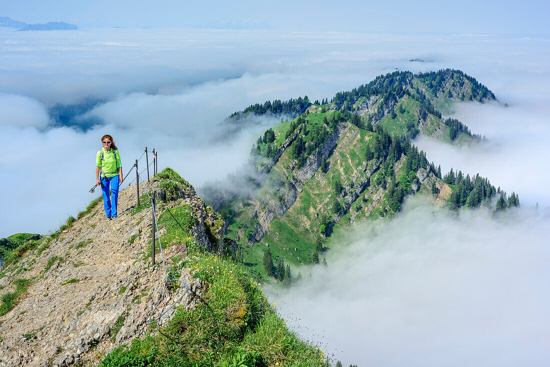 Woman hiking ascending on ridge, Hochgrat, Nagelfluh range, Allgaeu Alps, Allgaeu, Svabia, Bavaria, Germany