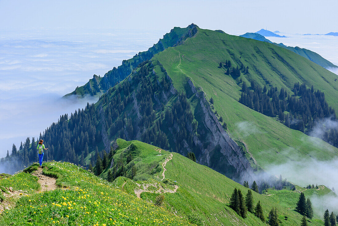 Frau beim Wandern steigt über Rücken vom Hochgrat ab, Rindalphorn im Hintergrund, Hochgrat, Nagelfluhkette, Allgäuer Alpen, Allgäu, Schwaben, Bayern, Deutschland