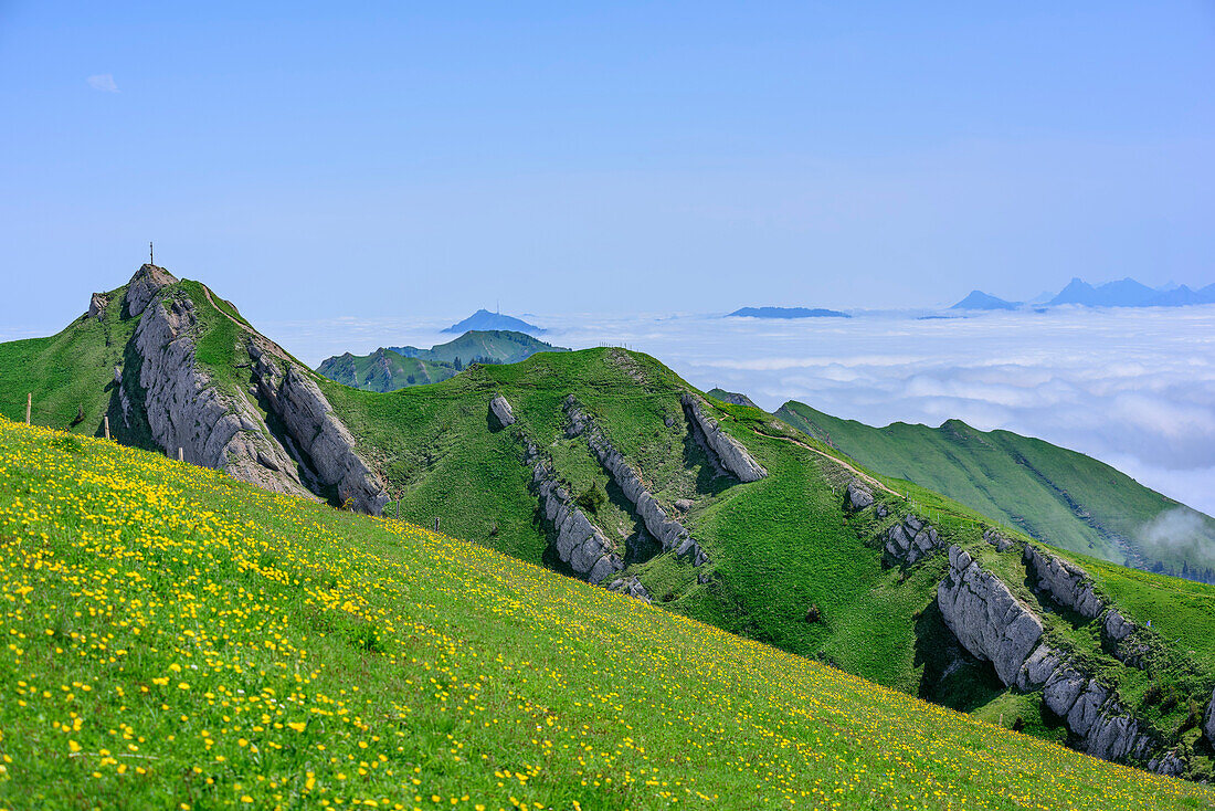 View to Nagelfluh range with Rindalphorn, Rindalphorn, Nagelfluh range, Allgaeu Alps, Allgaeu, Svabia, Bavaria, Germany