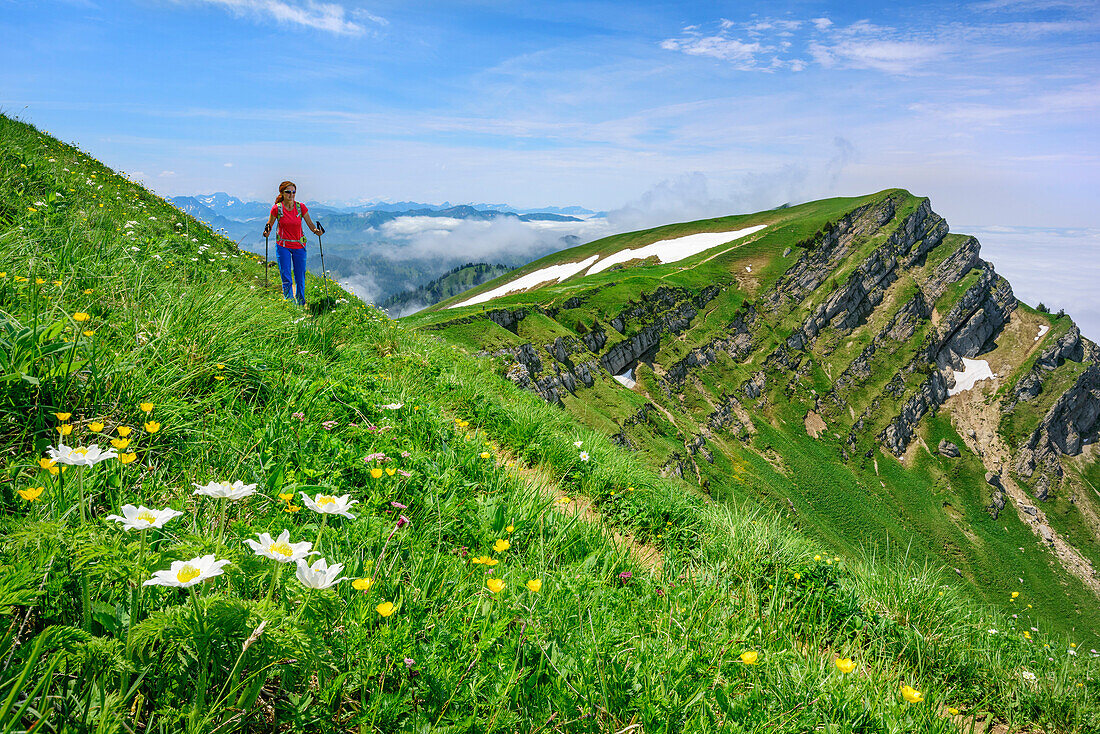 Woman hiking ascending to Rindalphorn, Rindalphorn, Nagelfluh range, Allgaeu Alps, Allgaeu, Svabia, Bavaria, Germany