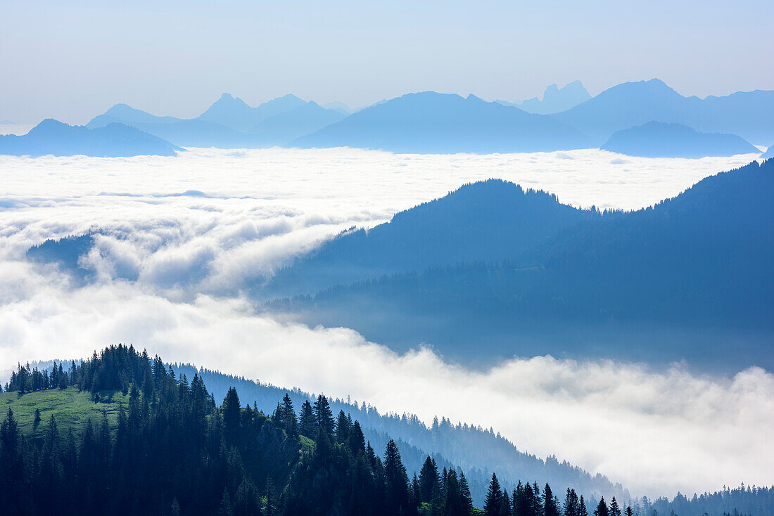 Sea of fog above valley of Iller, Aggenstein, Kuehgundkopf, Gimpel and Koellenspitze in background, from Siplingerkopf, valley of Balderschwang, Allgaeu Alps, Allgaeu, Svabia, Bavaria, Germany