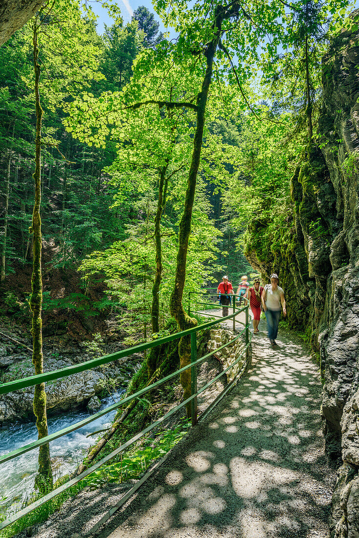 Several persons walking through canyon of Breitachklamm, Breitachklamm, Allgaeu Alps, Allgaeu, Svabia, Bavaria, Germany