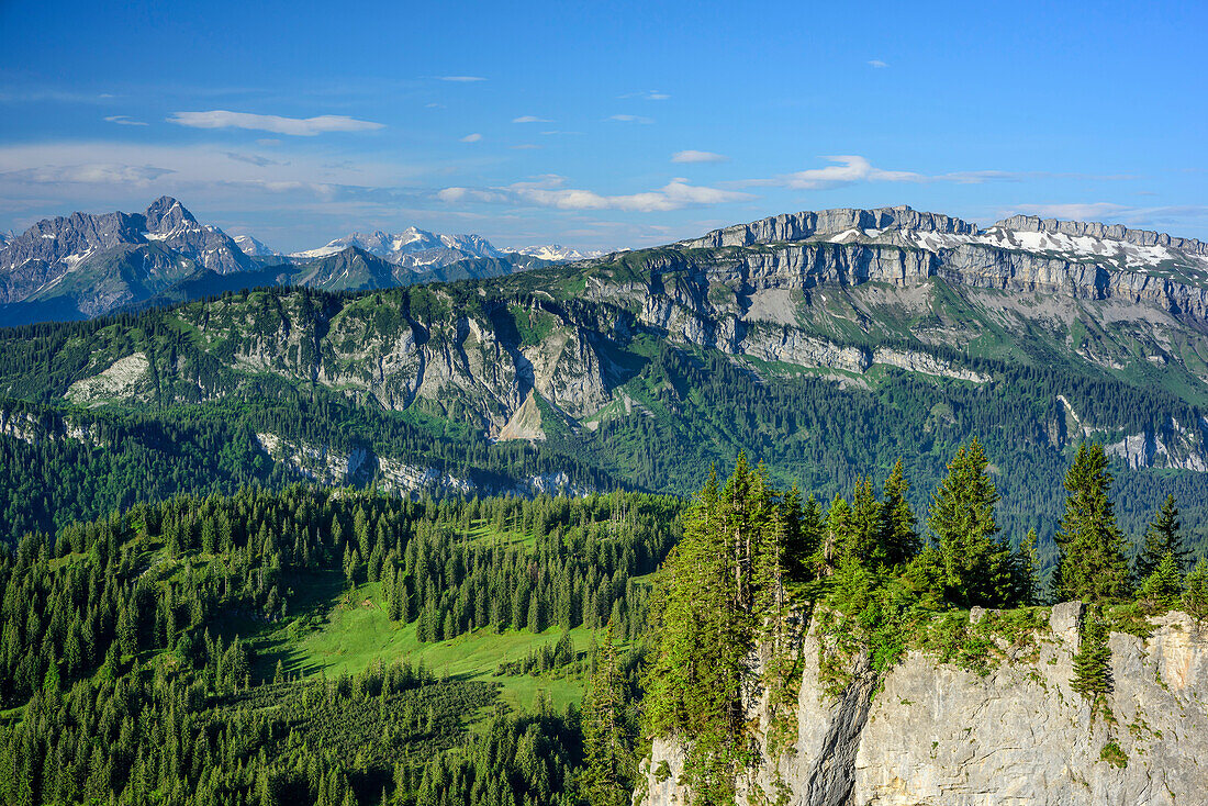 View to Widderstein and Gottesackerwaende, from Besler, valley of Balderschwang, Allgaeu Alps, Allgaeu, Svabia, Bavaria, Germany