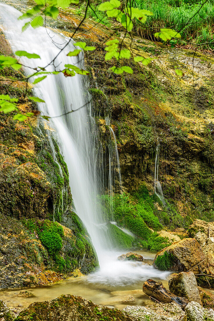 Wasserfall, Weissbachklamm, Chiemgauer Alpen, Chiemgau, Oberbayern, Bayern, Deutschland