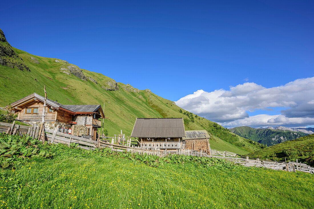 Several huts on alpine meadow, Rifugio Dona, valley of Fassa, Rosengarten, UNESCO world heritage Dolomites, Dolomites, Trentino, Italy